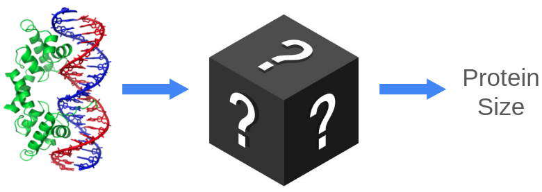 Interpretabale Machine Learning - Healthcare